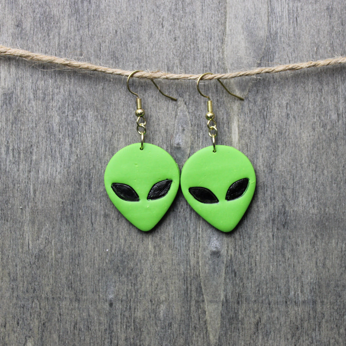 Visitor Earrings