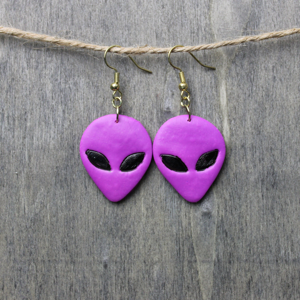 Visitor Earrings