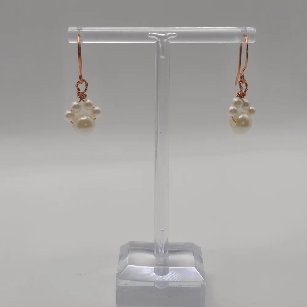 Familiar Earrings